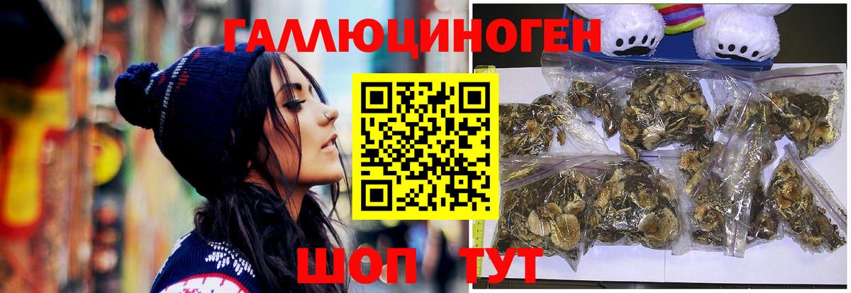 Галлюциногенные грибы Cubensis Калуга